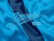Zenit St. Petersburg FC